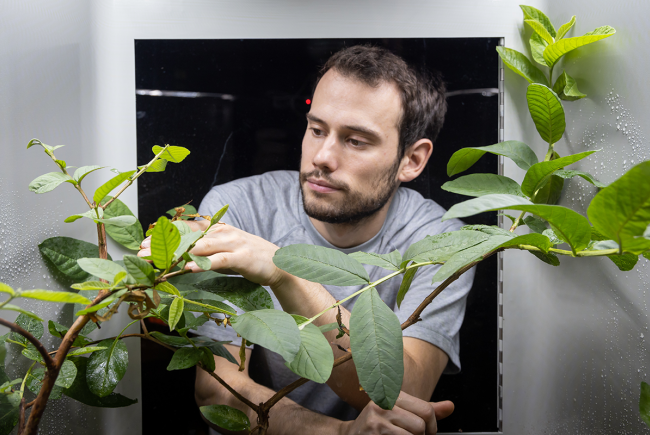 Raising arthropods at home: some rules to follow!