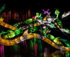 Jardins de lumière