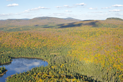 COP15 in Montréal, a unique opportunity for preserving biodiversity