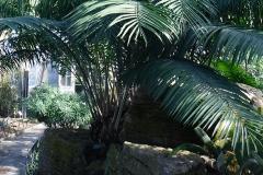 dans-les-coulisses-blogue-carrousel