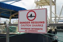 Panneau - Danger requins © Espace pour la vie (Marie-Odile Noël)