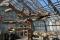One of the new artificial trees in the Tropicale humide greenhouse.