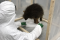 One of the museum technology students preparing to clean a specimen from the naturalized collection.