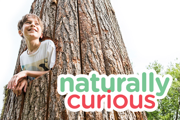 Naturally Curious