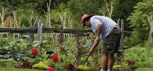Applying fertilizer