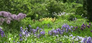 Massif de fleurs Jardiner sans pesticides