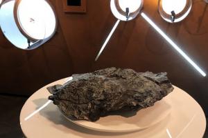 Spotlight on our meteorites!