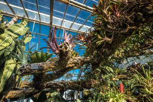  Serre tropicale humide