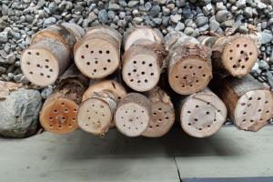 Découvrez les nichoirs à pollinisateurs, un atout pour votre jardin!