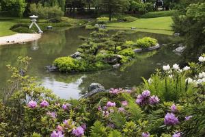 Jardin japonais