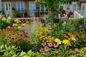 Campagne en ville - en