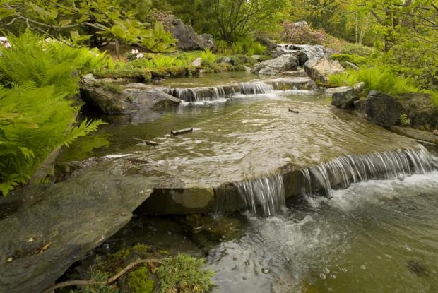 Waterfall, Japanese Garden.
