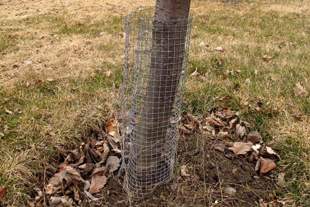 Grillage de protection