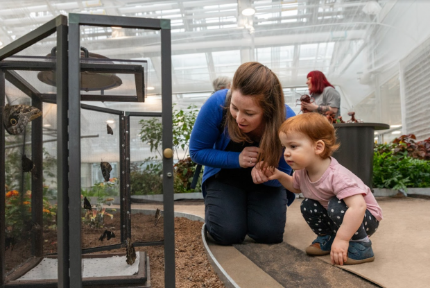 Une mère et sa fille observent des espèces de papillons dans le Grand Vivarium.