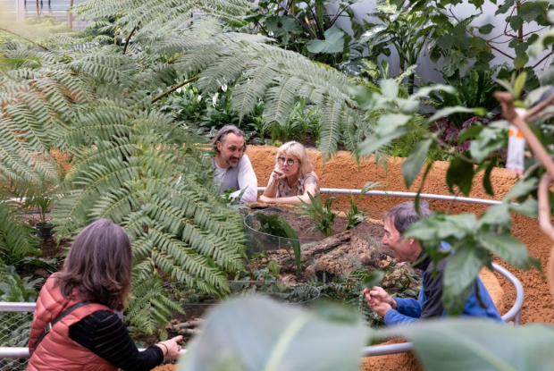 Quelques personnes observent des insectes dans le Grand Vivarium de l’Insectarium.