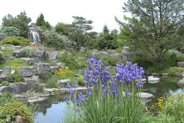 Alpine Garden