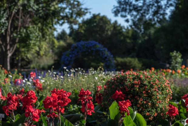 Jardin des nouveautés 4