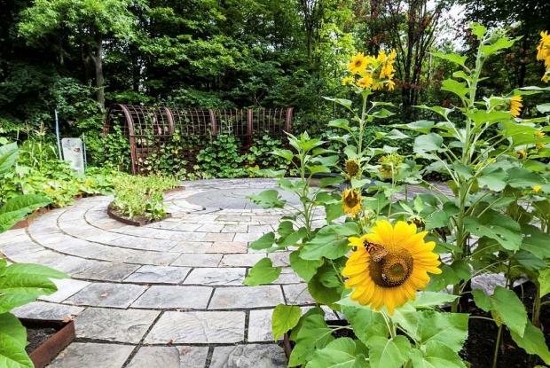 Section horticole Les trois soeurs