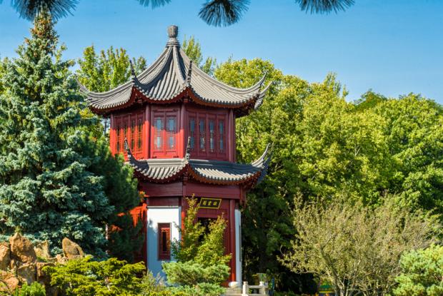 Chinese garden