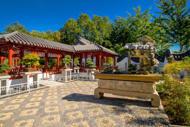 Chinese garden