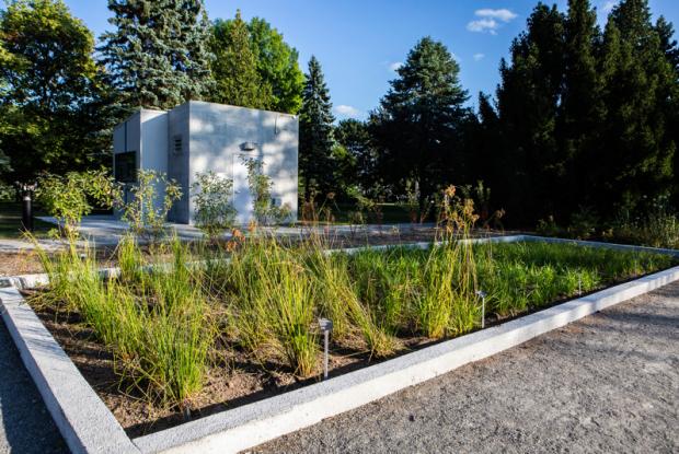 The Aquatic Garden