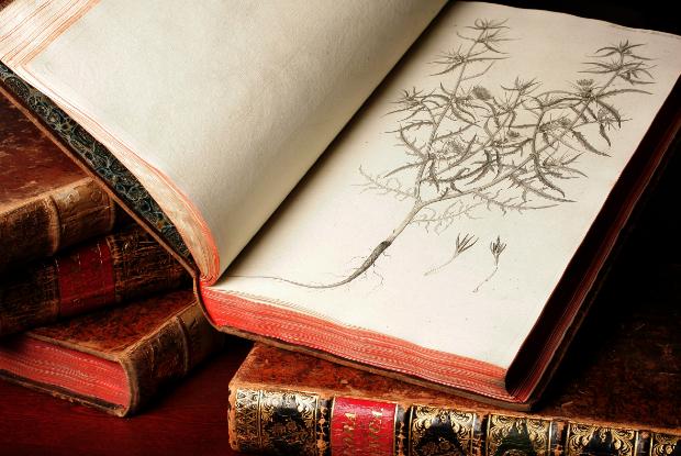 Livre ancien de la bibliothèque du Jardin botanique de Montréal