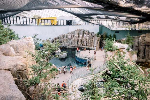 Le Golfe du Saint-Laurent au Biodôme