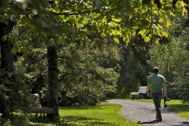 Walking in the Botanical Garden Walking in the Botanical Garden