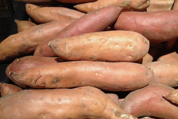 Sweet potato