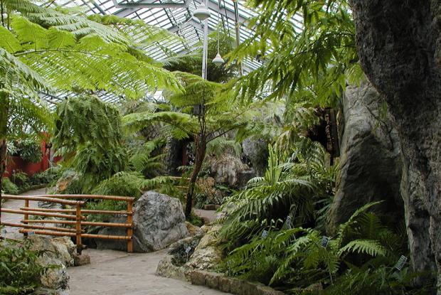 General view of the Ferns Greenhouse in which the bamboo bridge can be seen.