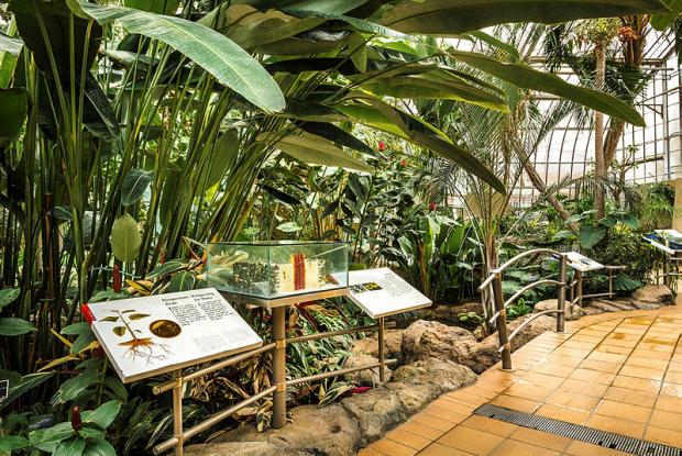 Jardin botanique - Serre Molson