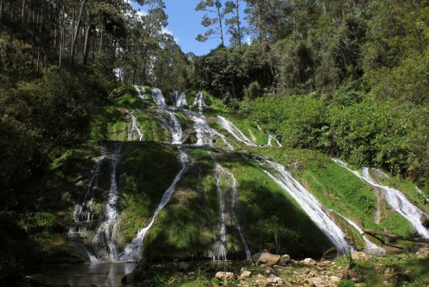 Chute au Parc La Visite à Haïti, où vivent plusieurs Gesneriaceae dans les forêts de nuage.