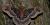  Callosamia promethea