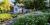 Chinese garden