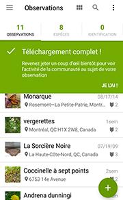 Android 10