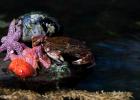 Le Biodôme est un milieu d'éducation à la biodiversité.