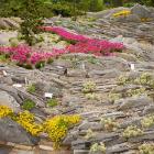 Jardin de crevasses.