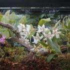 Terrarium.