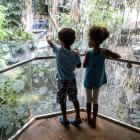 Two students on an Amazonian expedition at the Biodôme.