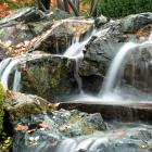 A cascade of water in the Japanese garden
