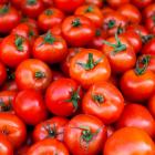 Tomatoes.