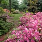 Jardin Leslie-Hancock