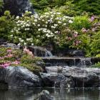 Jardin ornemental