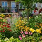 Campagne en ville - en