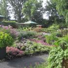 Jardin des nouveautés